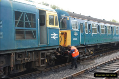 226.2013-05-10-SR-Beer-Festival-Diesel-Gala.-226