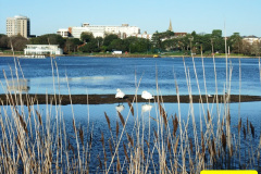 013.2014-12-08-Poole.-Park-Poole-Dorset.-13-
