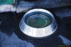 1142014-12-20-Four-Santas-and-Wedding-Almost.-114114