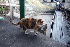 1_2412014-05-13-Driving-34028-2241