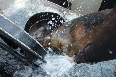 1_4312014-05-19-Driving-West-Country-Class-34028.-48431