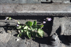 1_7262014-07-14-Driving-6695-No.1-17726