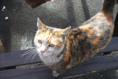 0522015-05-13-SR-302-Duty-day-2-8052