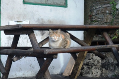 1252015-05-19-34070-on-302-Duty.-12125