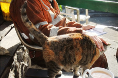 1372015-05-19-34070-on-302-Duty.-24137