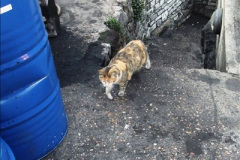 1552015-06-11-SR-302-Duty.-3155