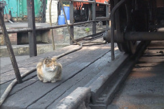 1642015-06-11-SR-302-Duty.-12164