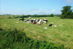 2462015-06-17-SR-on-303-Duty.-21246