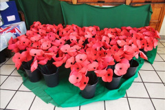 3772015-07-14-All-Day-DMU.-12377