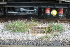 3822015-07-14-All-Day-DMU.-17382