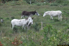 7822015-08-17-SR-New-Section-Work-on-the-08.-99782