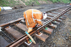 8222015-08-19-SR-New-Extension-Work.-24822