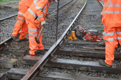 8762015-08-19-SR-New-Extension-Work.-78876