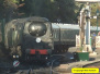 2016 August 29 Late DMU 2