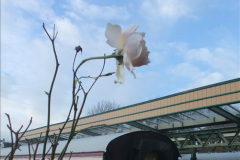 0222016-01-16-First-turn-of-the-year.-22022