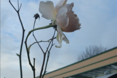 0232016-01-16-First-turn-of-the-year.-23023