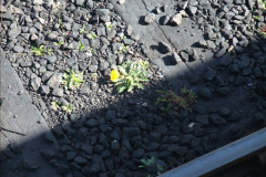 3982016-04-18-SR-302-Duty-on-80104.-24398