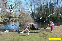 014.2016-01-20-Poole-Park-Railway-Poole-Dorset.-14-