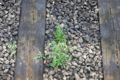057.2016-09-12-All-day-DMU-on-the-SR.-57