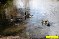 015.2017-02-24-Poole-Park-Railway-Poole-Dorset-Under-threat-15-