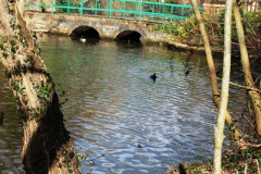 020.2017-02-24-Poole-Park-Railway-Poole-Dorset-Under-threat-20-