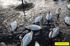 027.2017-02-24-Poole-Park-Railway-Poole-Dorset-Under-threat-27-