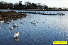 028.2017-02-24-Poole-Park-Railway-Poole-Dorset-Under-threat-28-