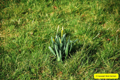 042.2017-02-24-Poole-Park-Railway-Poole-Dorset-Under-threat-42-