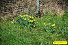 043.2017-02-24-Poole-Park-Railway-Poole-Dorset-Under-threat-43-