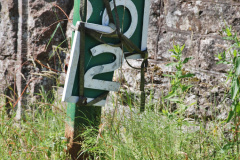 050.Harmans-X-to-Corfe-Castle.-50