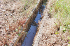 051.Harmans-X-to-Corfe-Castle.-51
