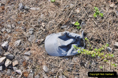 021.Some-of-the-things-I-saw-on-my-20-mile-walk-for-the-SR-Survey.-21