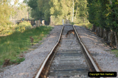 022.Some-of-the-things-I-saw-on-my-20-mile-walk-for-the-SR-Survey.-22