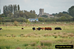 028.Some-of-the-things-I-saw-on-my-20-mile-walk-for-the-SR-Survey.-28