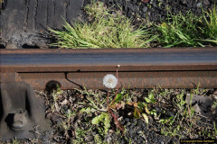 154.2017-05-08-The-day-after-the-Spring-Diesel-Gala.-154