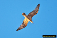 590.2017-10-20-New-York.-590