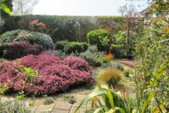 066.2018-04-14-A-Poole-Garden-in-Spring.-66