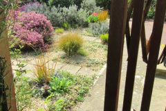 070.2018-04-14-A-Poole-Garden-in-Spring.-70