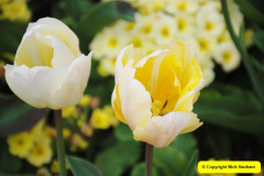 006.2018-04-22-RHS-Rosemoor-Gardens-Great-Torrington-Devon.-6