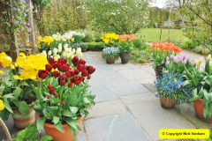 089.2018-04-22-RHS-Rosemoor-Gardens-Great-Torrington-Devon.-89