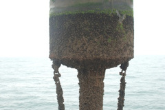 635.2018-08-14-to-22-Trinity-House-Vessel-Patricia-Harwich-to-Weymouth.-635