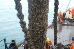 647.2018-08-14-to-22-Trinity-House-Vessel-Patricia-Harwich-to-Weymouth.-647