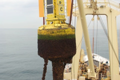 686.2018-08-14-to-22-Trinity-House-Vessel-Patricia-Harwich-to-Weymouth.-686