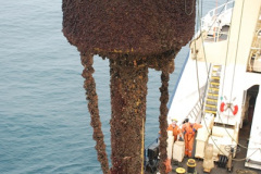 688.2018-08-14-to-22-Trinity-House-Vessel-Patricia-Harwich-to-Weymouth.-688