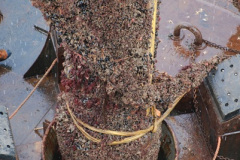 690.2018-08-14-to-22-Trinity-House-Vessel-Patricia-Harwich-to-Weymouth.-690