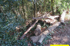 014.2018-02-05-Alder-Hills-History-Parkstone-Poole-Dorset.-14