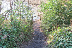 006.2018-02-16-Alder-Hills-Nature-Reserve-A-second-visit.-6