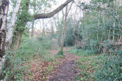 019.2018-02-16-Alder-Hills-Nature-Reserve-A-second-visit.-19