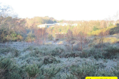 024.2018-02-16-Alder-Hills-Nature-Reserve-A-second-visit.-24