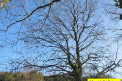 067.2018-02-16-Alder-Hills-Nature-Reserve-A-second-visit.-67